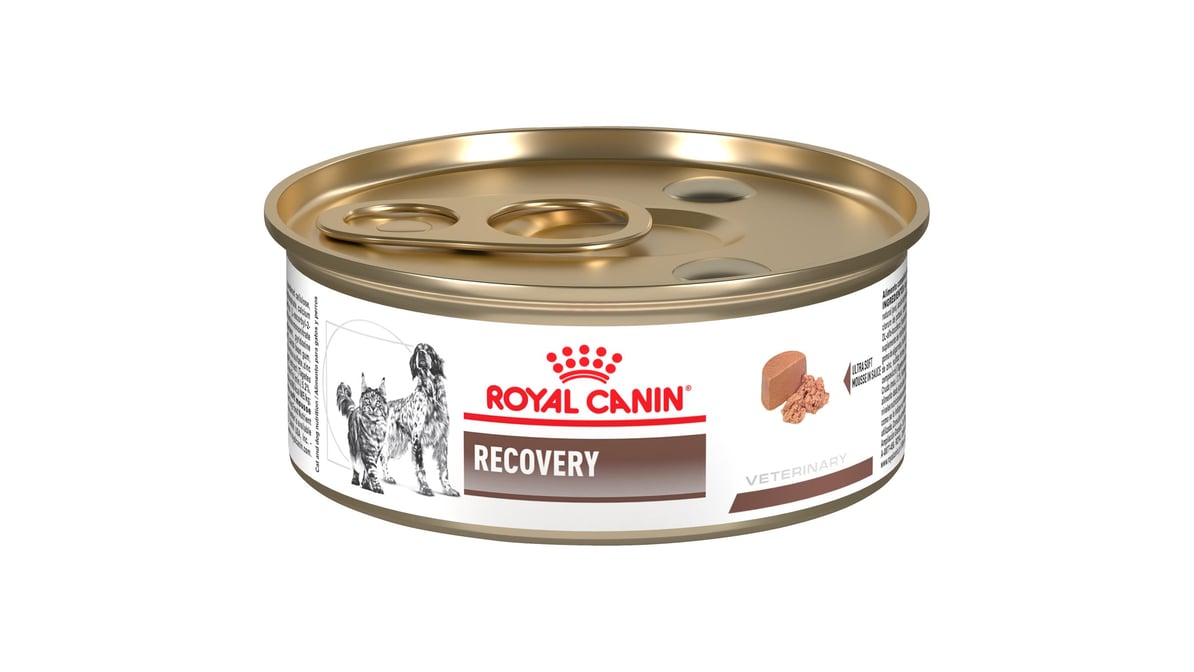 Recovery royal fashion canin dog food