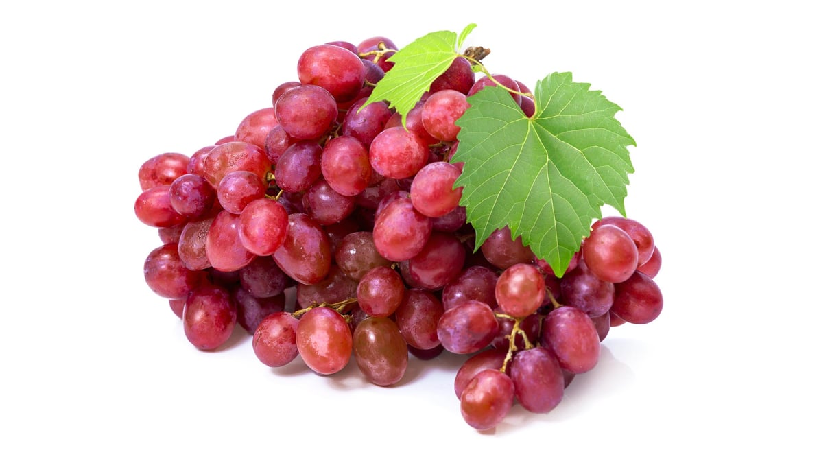 Red Globe Grape