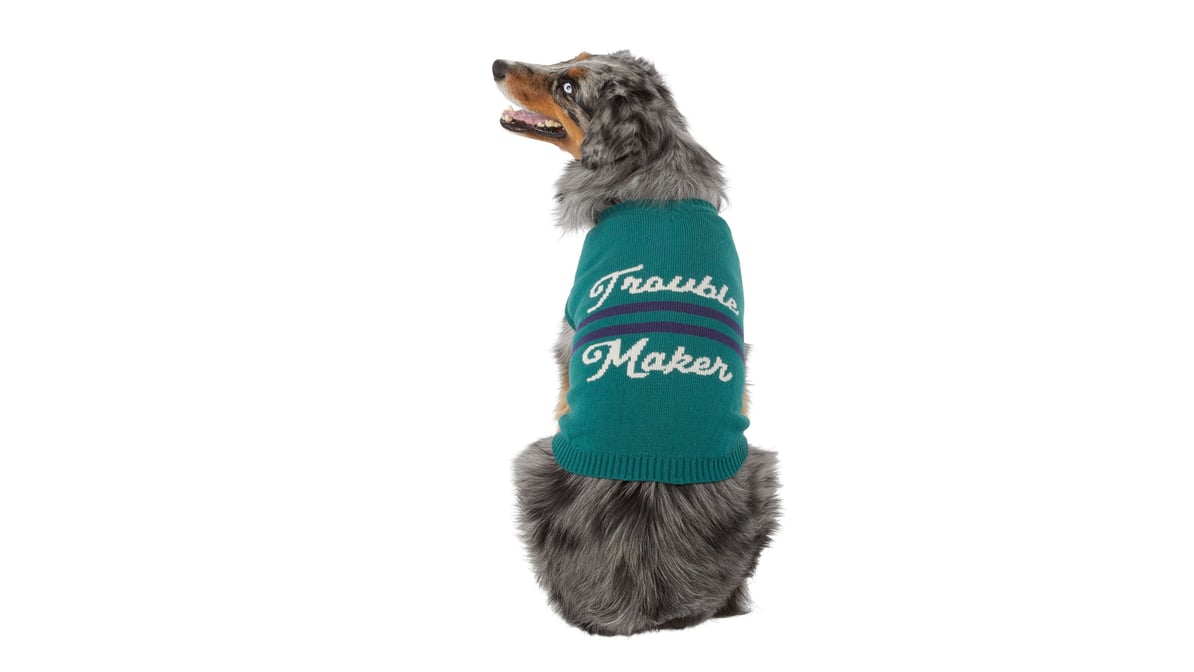 Philadelphia Eagles Dog Jersey - Medium