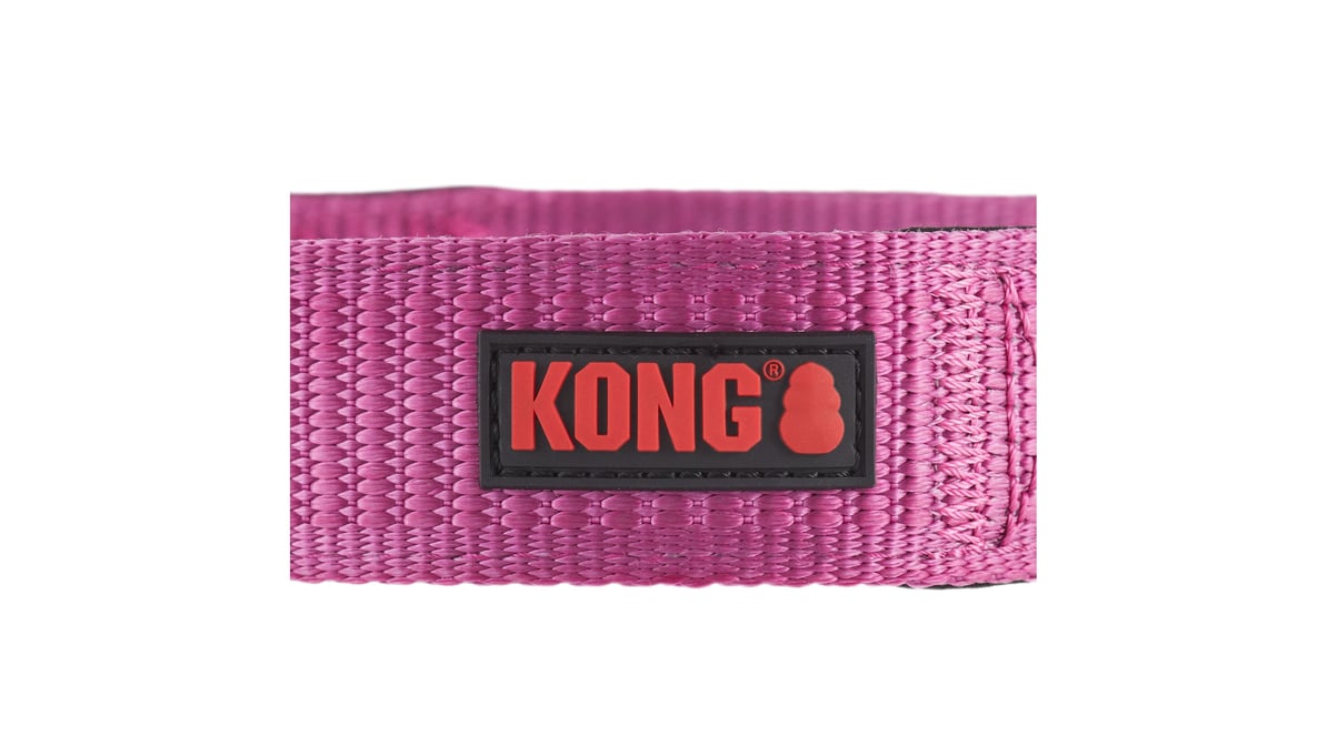 Kong Chew Resistant Dog Collar, Size: XL | PetSmart