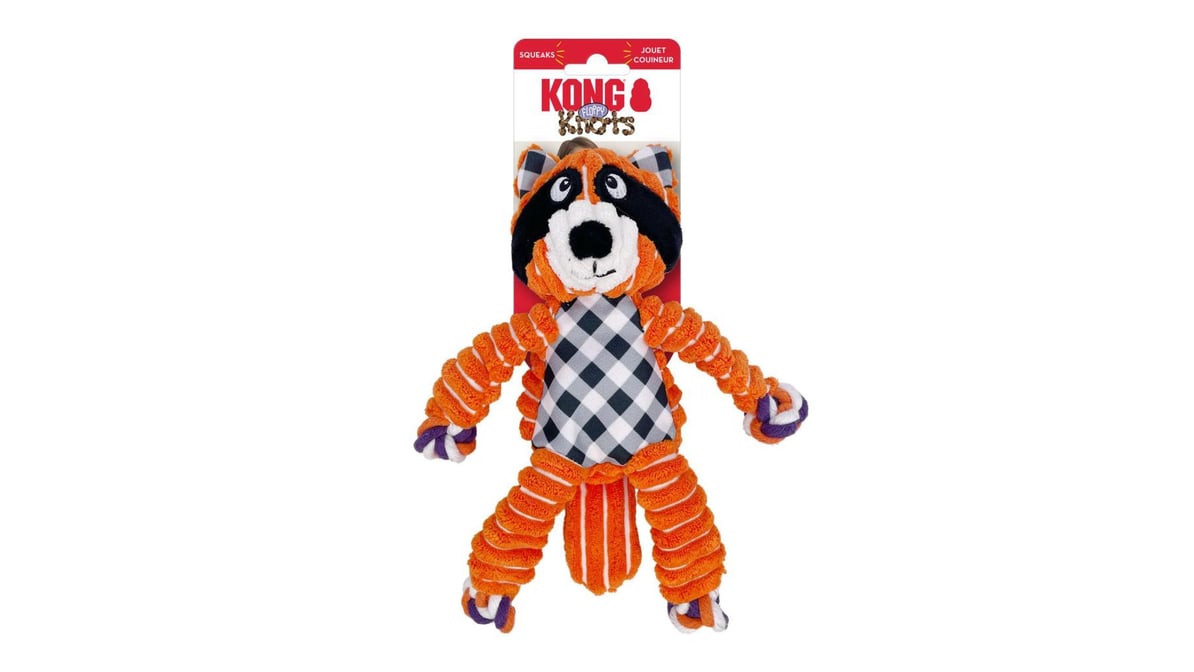 Kong Raccoon Halloween Floppy Knots Small/Medium Dog Toy | Delivery  Near Me - Doordash