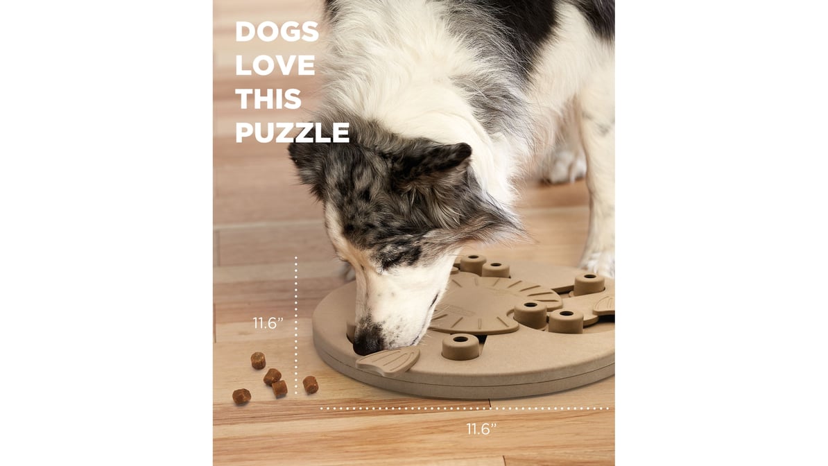 Outward Hound Dog Tornado Puzzle Treat Dispensing Dog Toy (1 ct) Delivery -  DoorDash