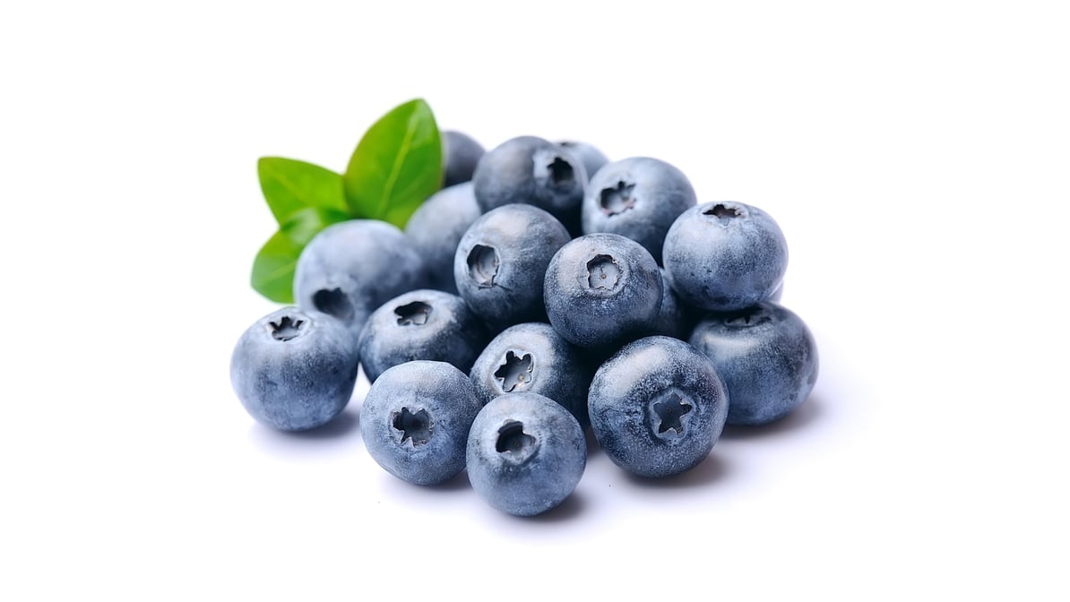 Big Blue Blueberries (6 oz) | Delivery Near Me - Doordash