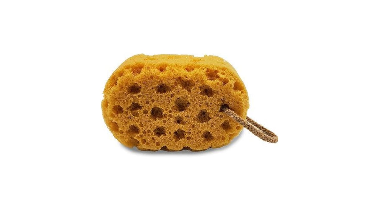 katelle Natural Sponge