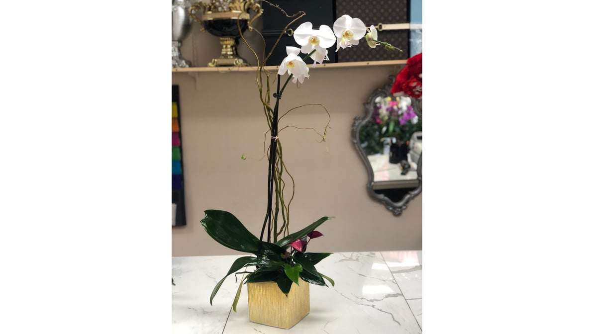 LV Box with Orchids – Tinas Flowers & Gifts