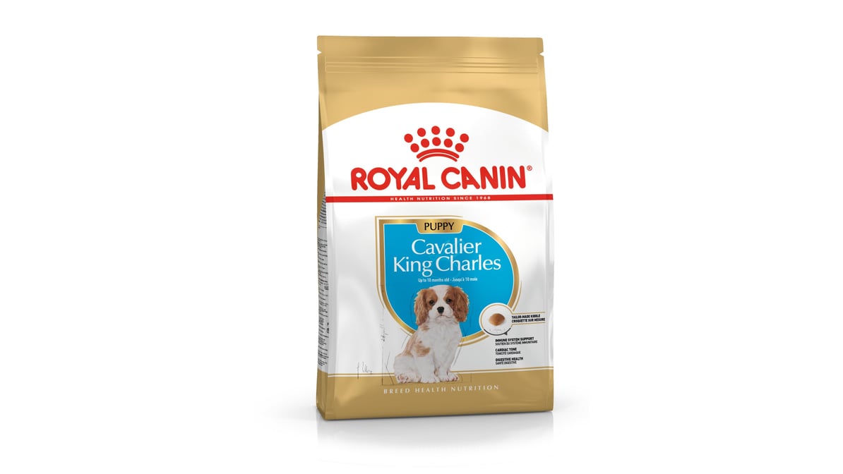 Royal shops canin king charles cavalier puppy