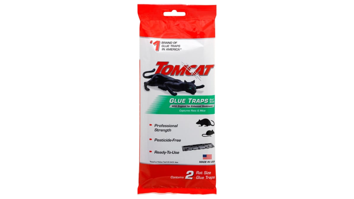 Tomcat Glue Mouse Trap (4 ct) Delivery - DoorDash