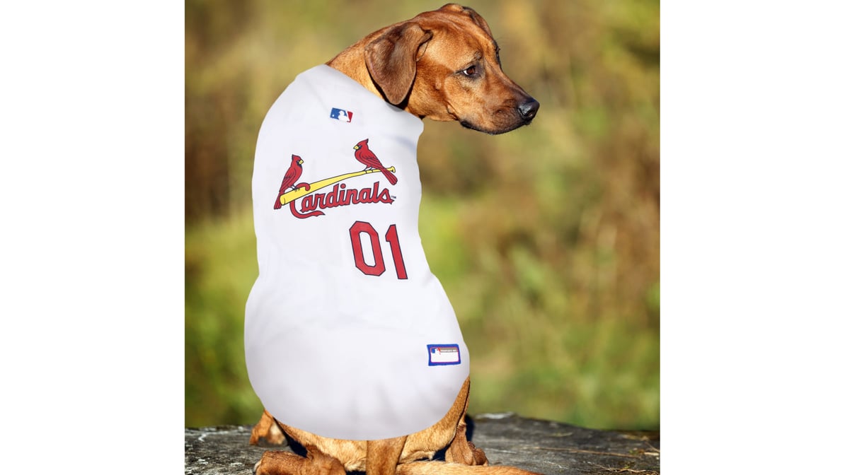 Pets First St. Louis Cardinals Throwback Medium Dog Jersey | Petco