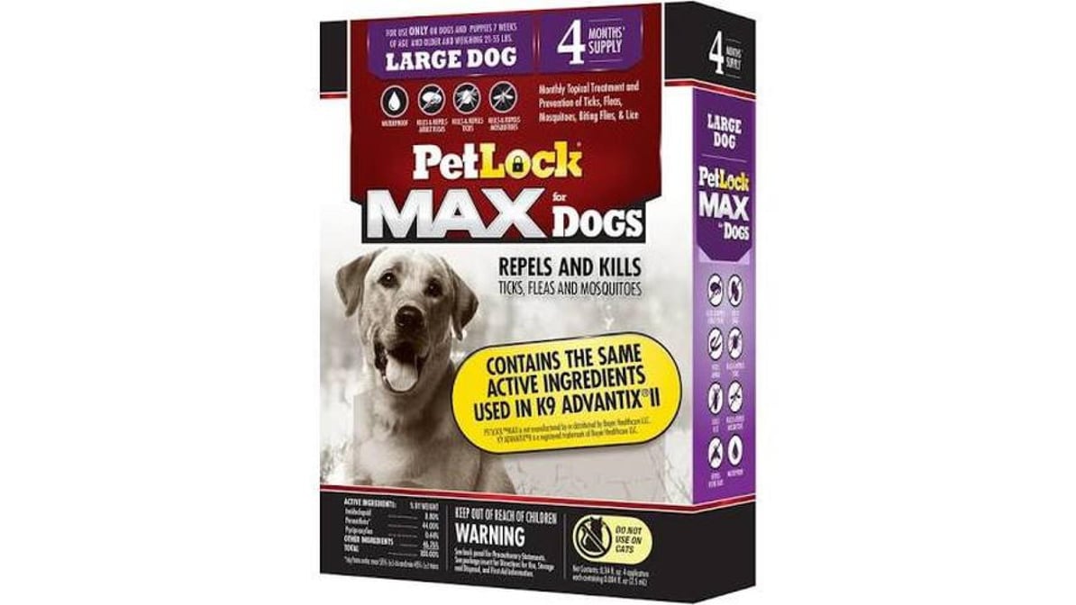 Petlock fashion max large dog