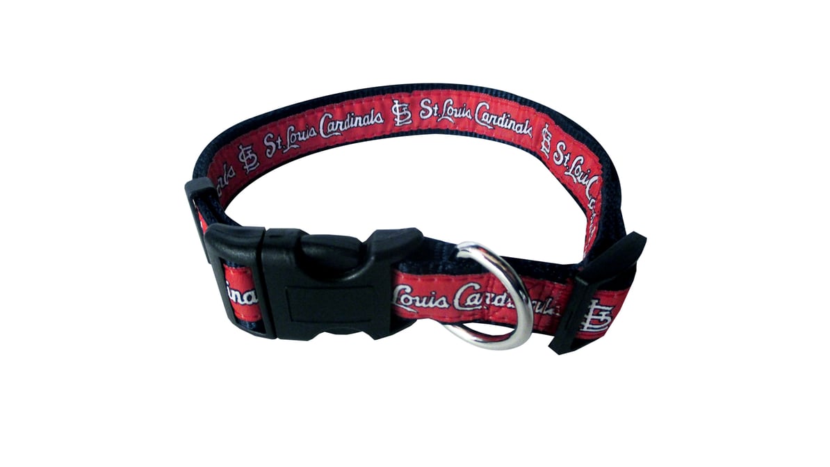 St Louis Cardinals Dog Collar Large