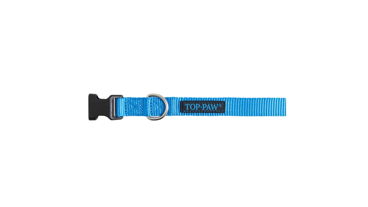 Top Paw Signature Dog Collar in Blue, Size: XL | PetSmart