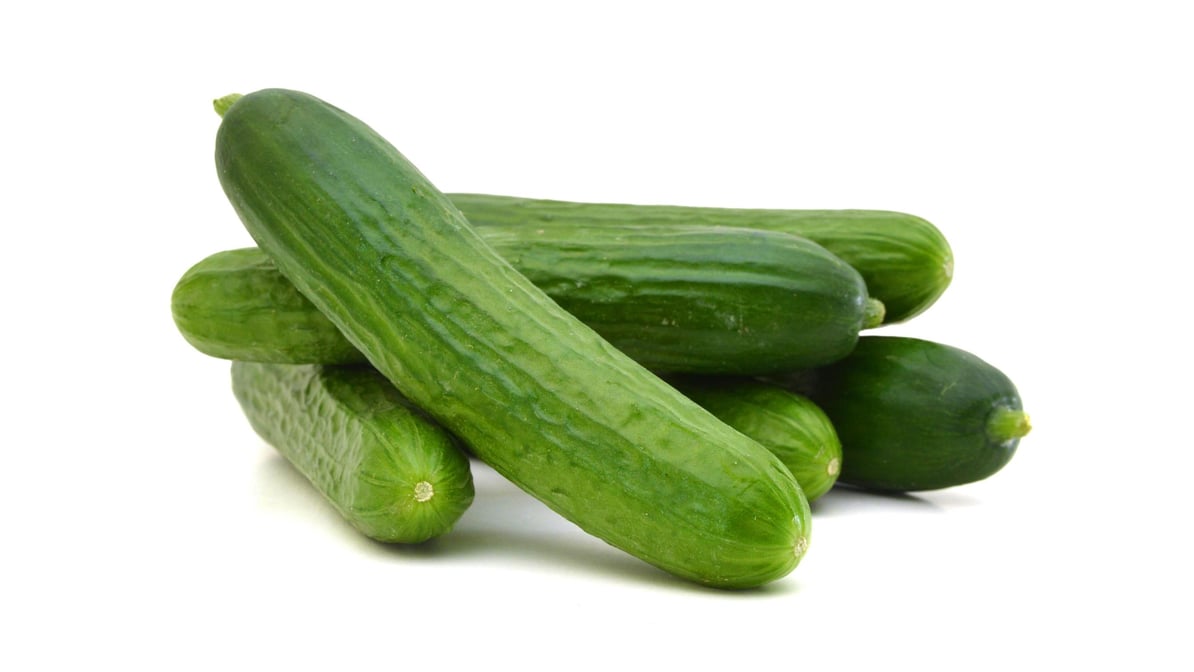 Organic Mini Cucumbers