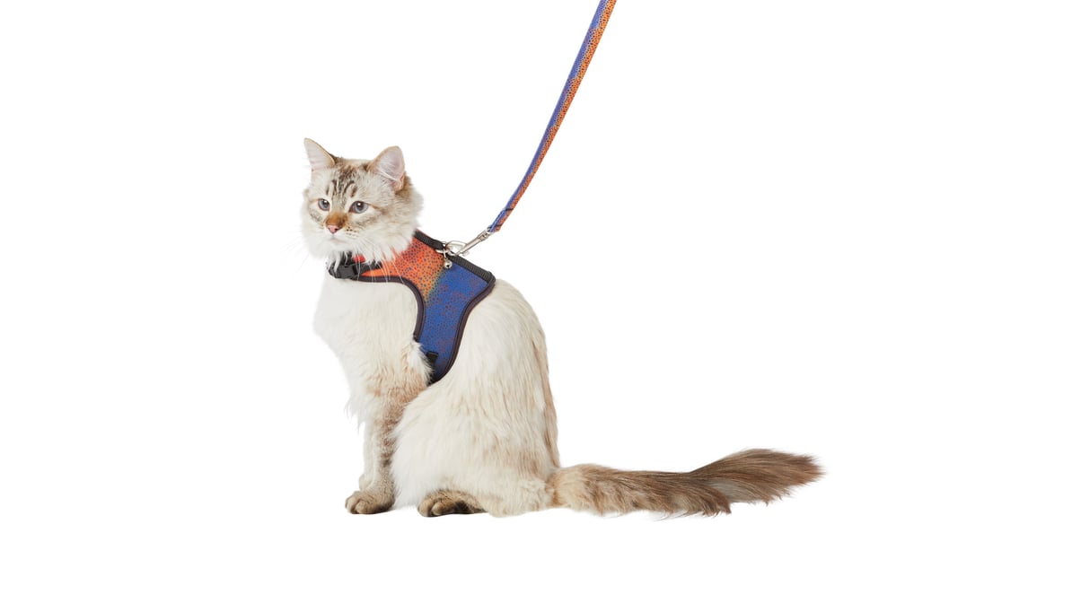 Whisker City Trout Print Adult Multi-Color Cat Leash & Harness Combo
