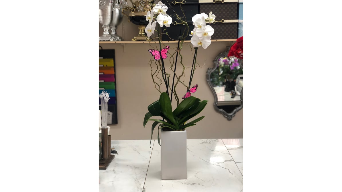 LV Box with Orchids – Tinas Flowers & Gifts