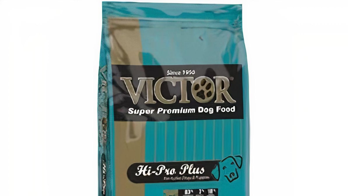 Victor hi pro hot sale plus 50 lbs