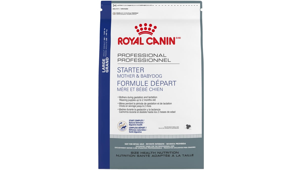 Fashion starter royal canin maxi