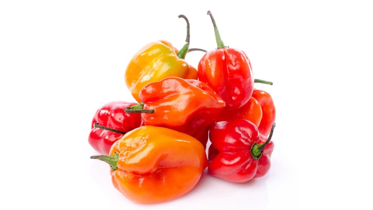 Organic Rainbow Bell Peppers - 2ct : Target