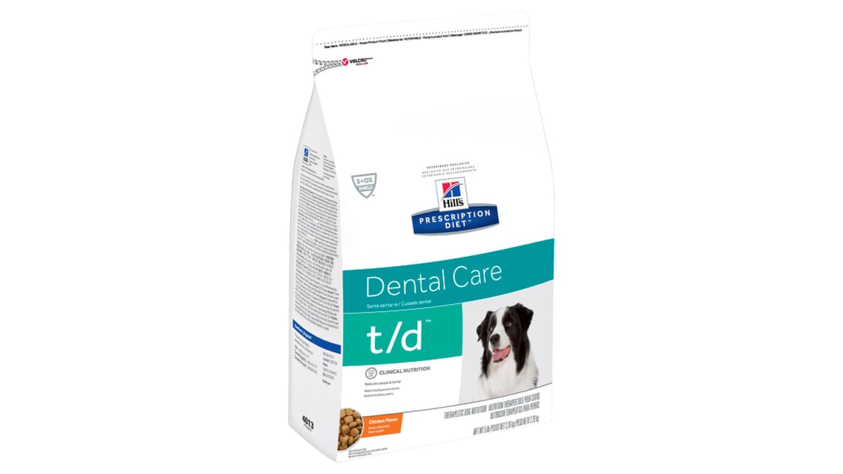 Td dental dog fashion food