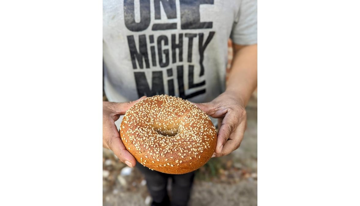 One Mighty Mill bagels and flour [Lynn, MA] - Boston, New England - Hungry  Onion