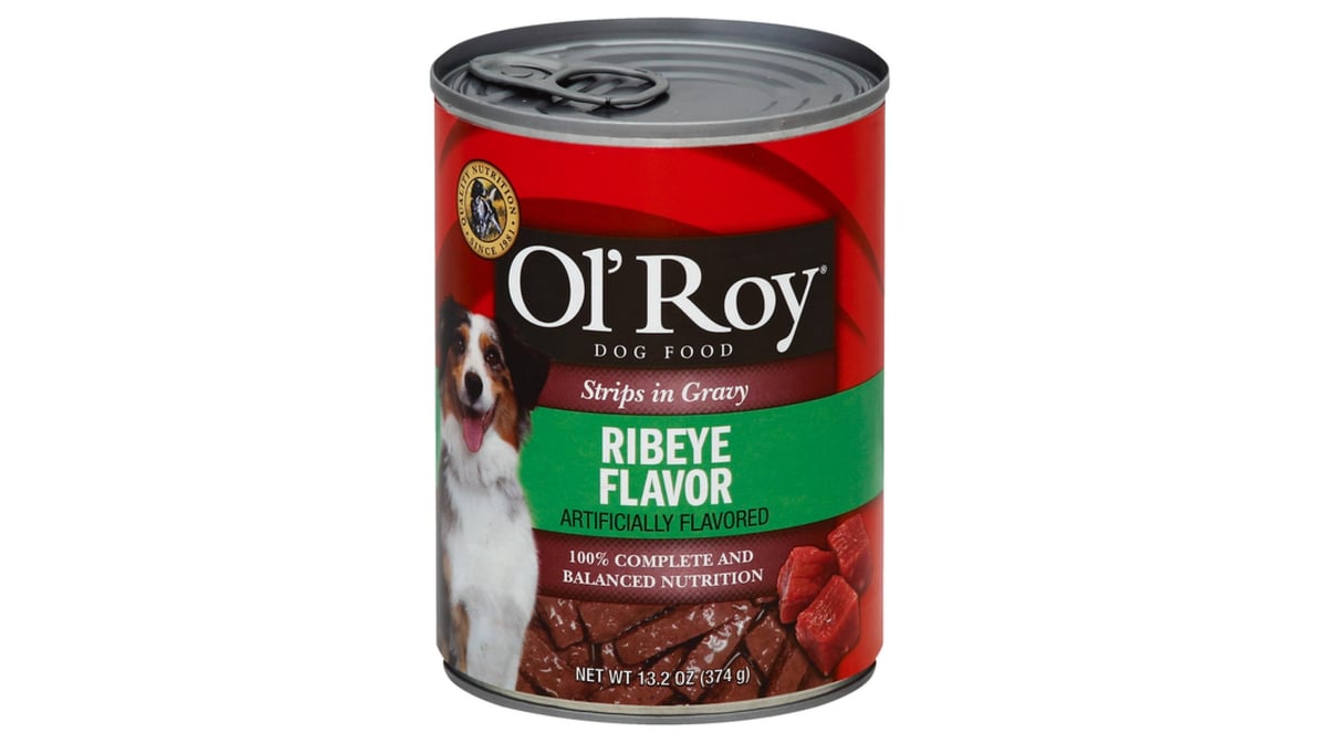 Roy dog fashion food