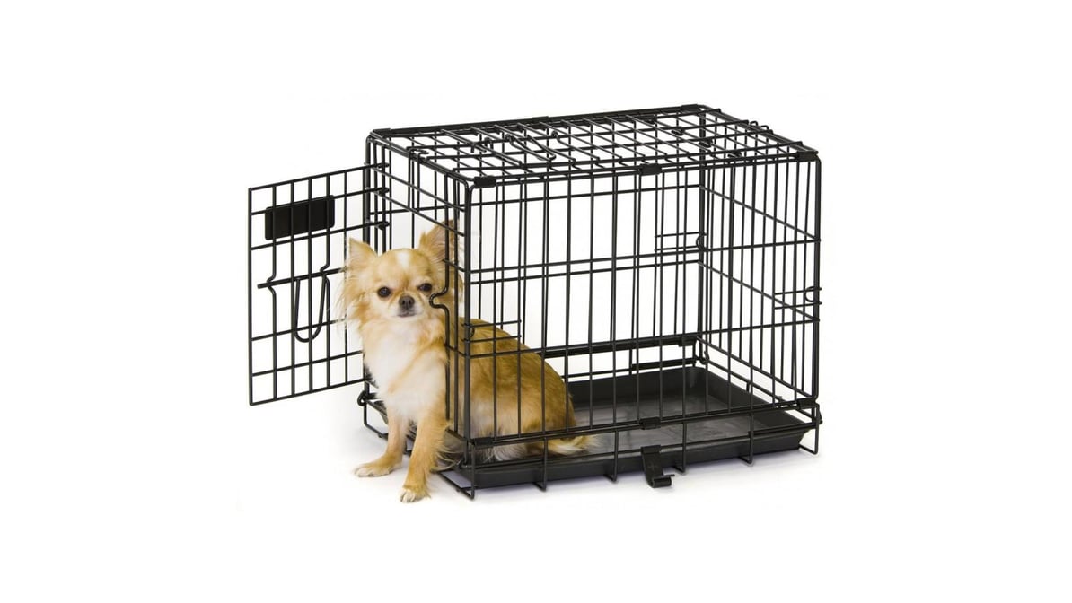 Dog cage shops near me