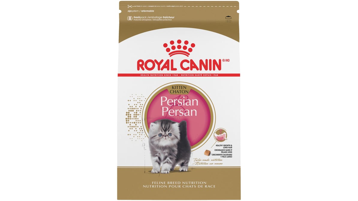 Food for persian kitten orders