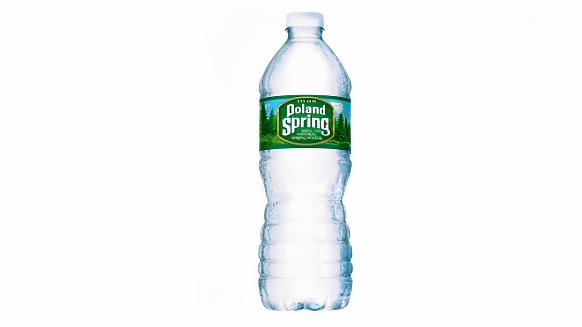 Poland Spring Water Bottle 16.9oz – Flavors NYC Inc