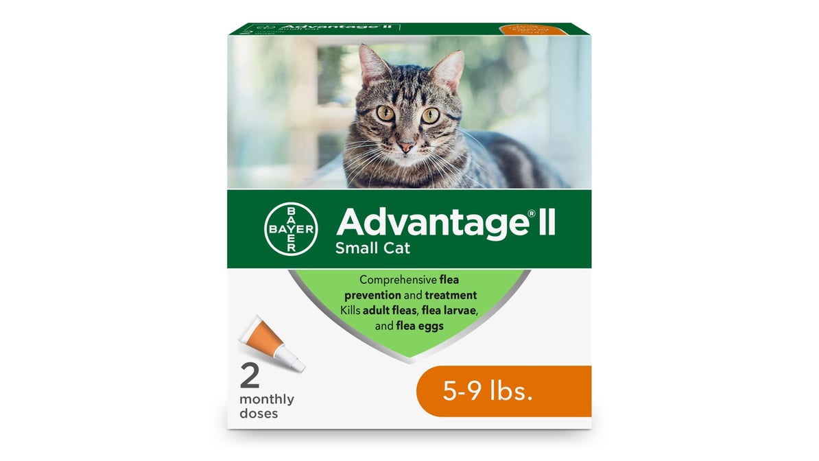 Advantage 2 flea treatment for cats best sale