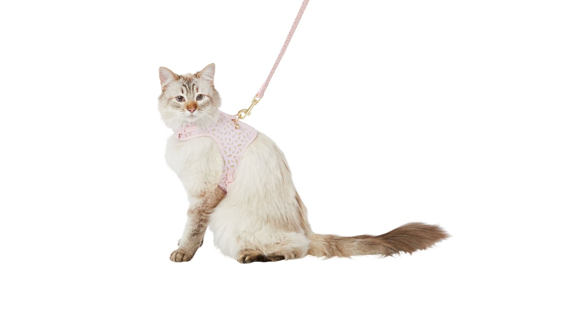 Whisker City Pink Cat Harnesses