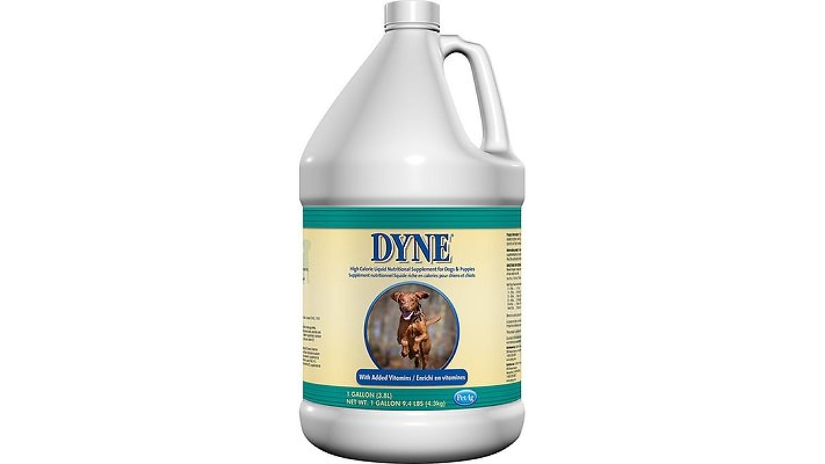 Dyne shops high calorie supplement for dogs