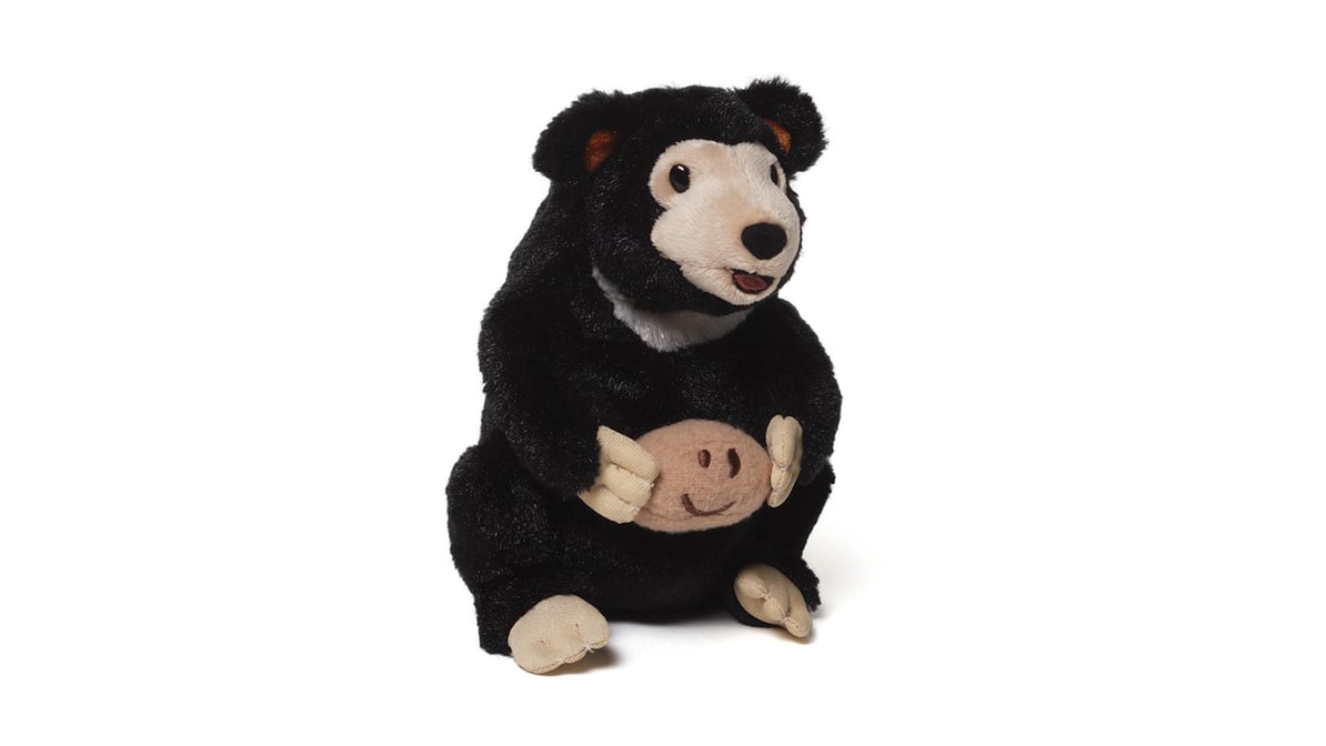 Gund Asian Sun Bear Coconut Cuipo Sampson & Coco Rainforest Plush Toy 6  Black | Delivery Near Me - Doordash