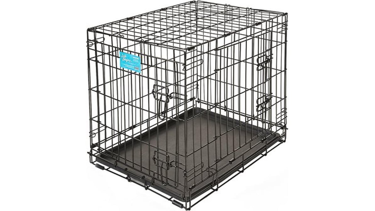 Life stages large dog crate best sale