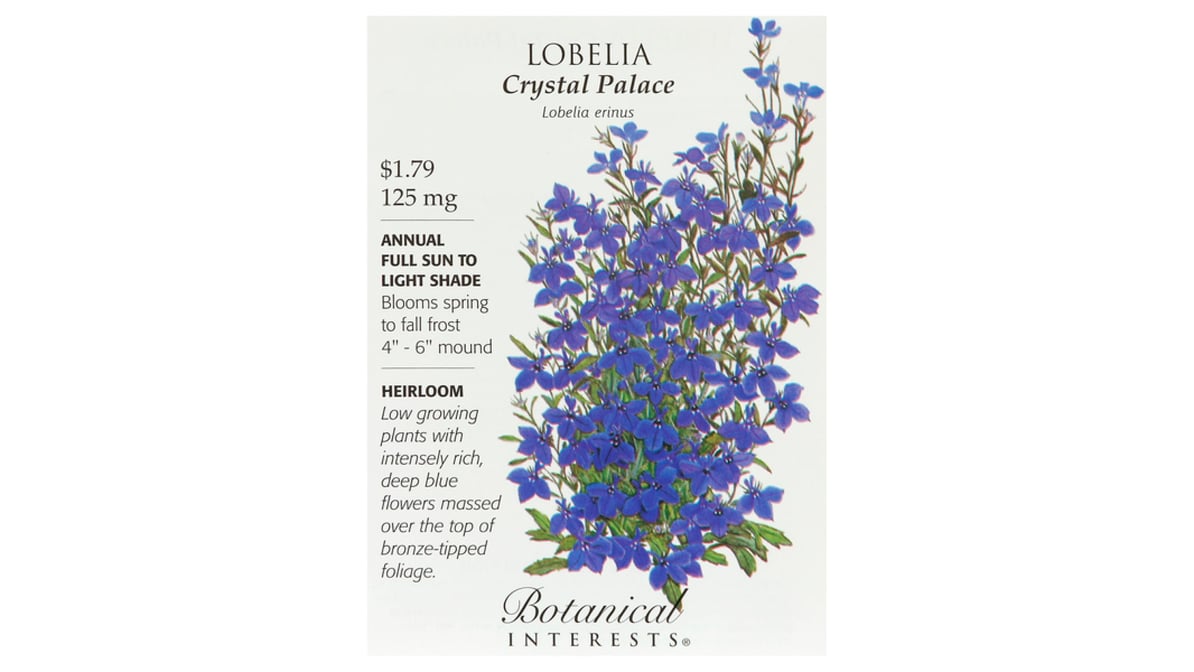 Botanical Interests Lobelia Crystal Palace Seeds (0.125 g) | Delivery ...