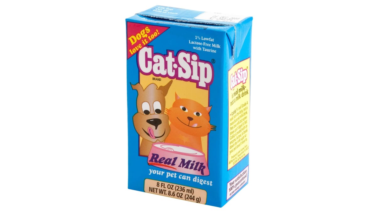 Cat sip cheap real milk