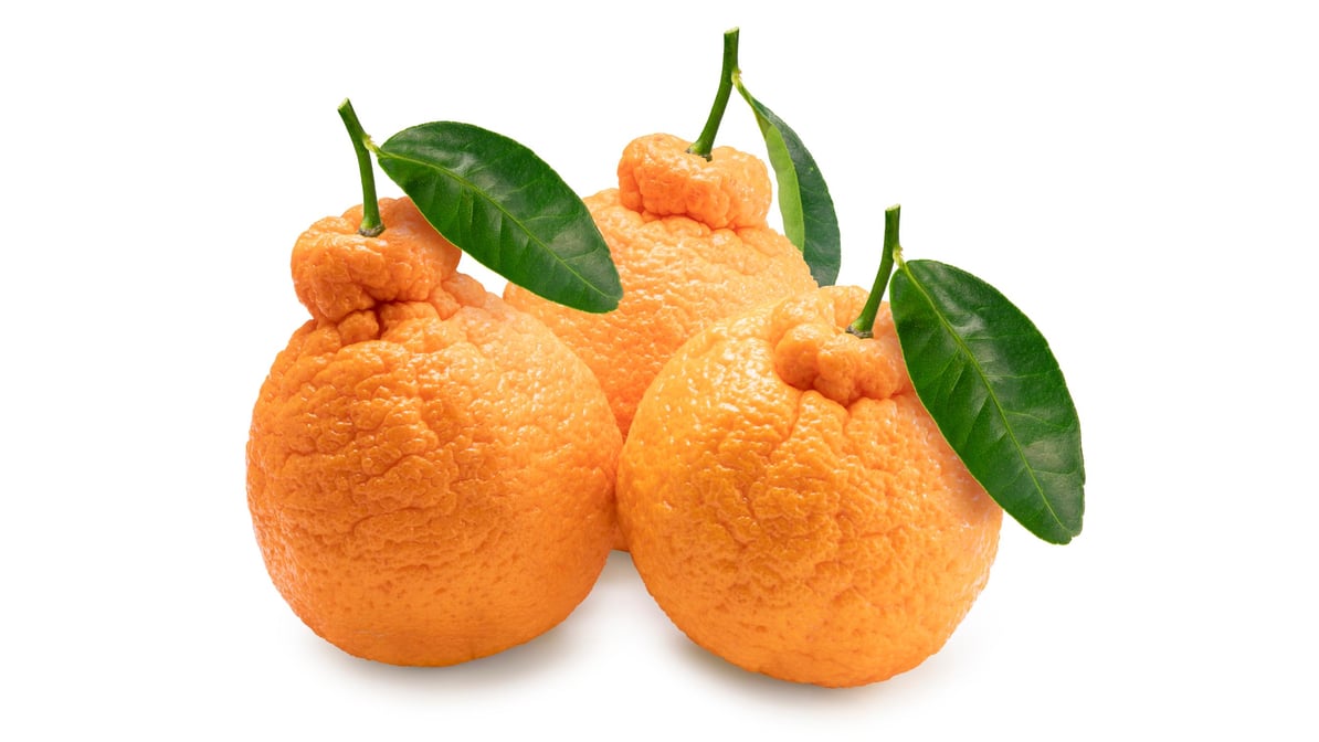 Sumo Citrus® Mandarins