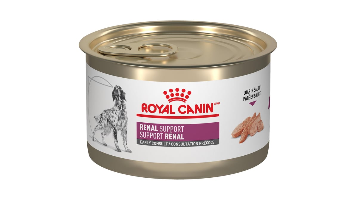 Early renal diet dog best sale