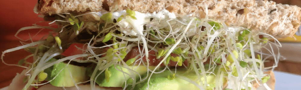 Lettuce-eat-healthy