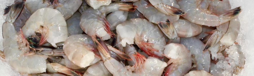 Reel ‘Em In Fresh Seafood and Gourmet