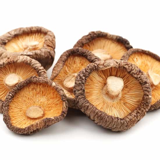 ShroomZ Shiitake Dried Mushrooms (0.5 oz)