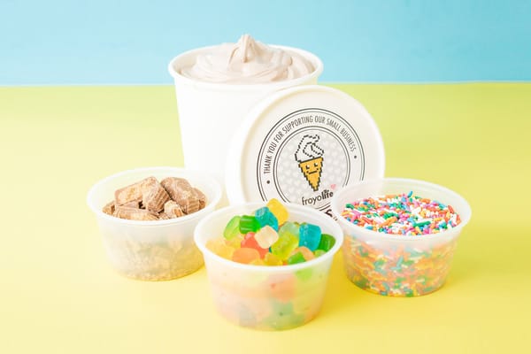 FROYO Frozen Yogurt Business Package