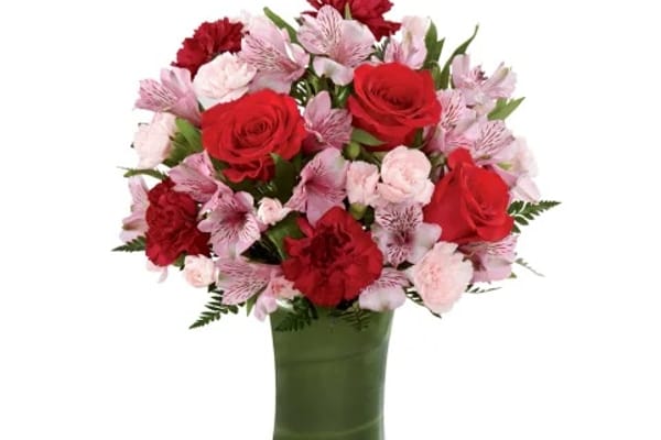 Get Well Assorted Roses: 12-24 Stems 24 Stems with Clear Vase, Bear & Chocolate | 1-800-Flowers Flowers Delivery | 145008MV24B1BL21CH29
