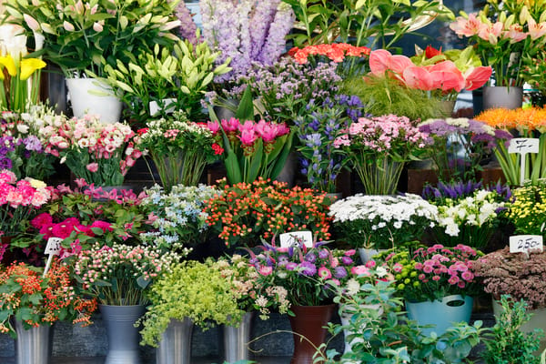 Create Your Own Potpourri - Cascade Floral Wholesale