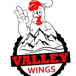 Valley Wings