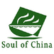 Soul Of China