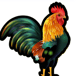 Rooster