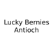 Lucky Bernies Antioch