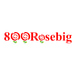 800ROSEBIG Wholesale FLORIST