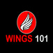 Wings 101 - Stone Mountain