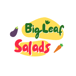 BigLeaf Salads