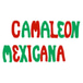 Camaleon Mexicana